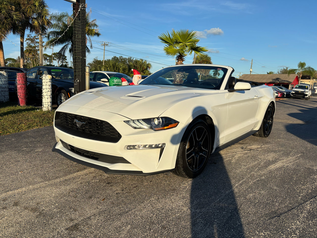 Used 2023 Ford Mustang Premium image 1