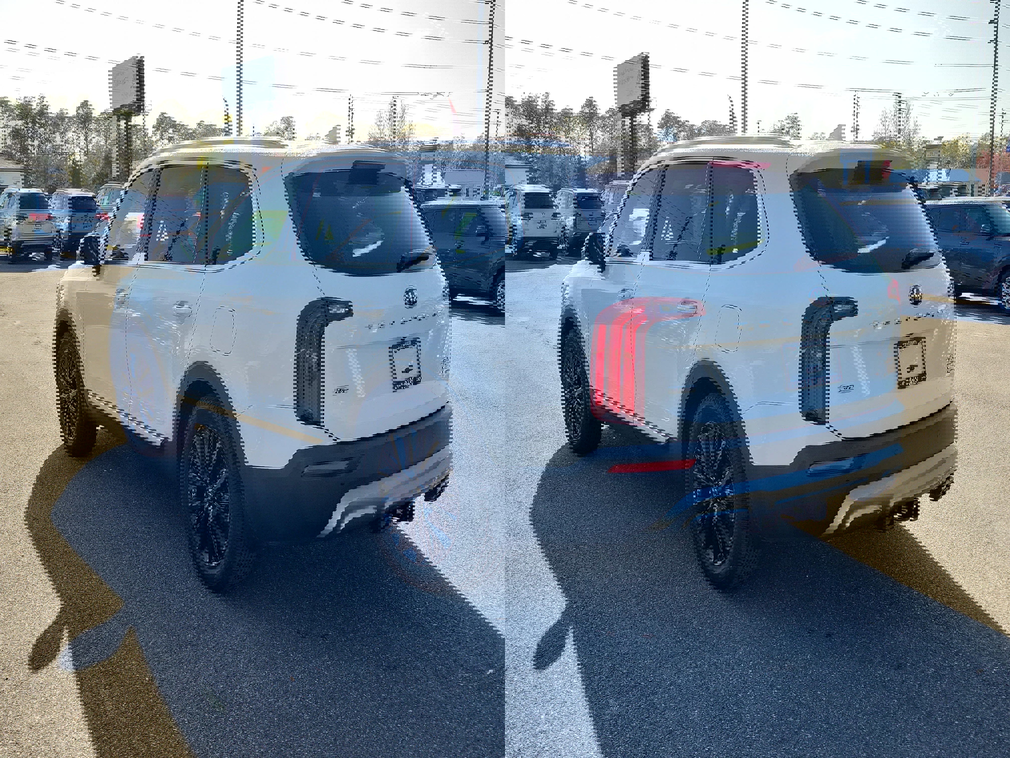 Used 2020 Kia Telluride SX w/ SX Prestige Package image 4