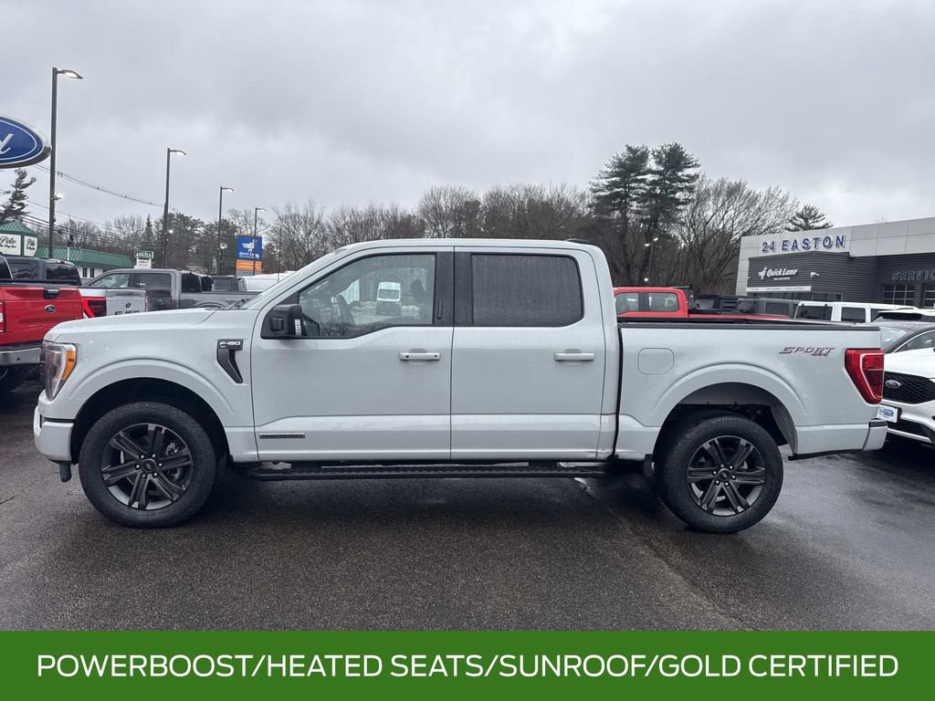 Certified 2023 Ford F150 XLT w/ Equipment Group 302A High image 2