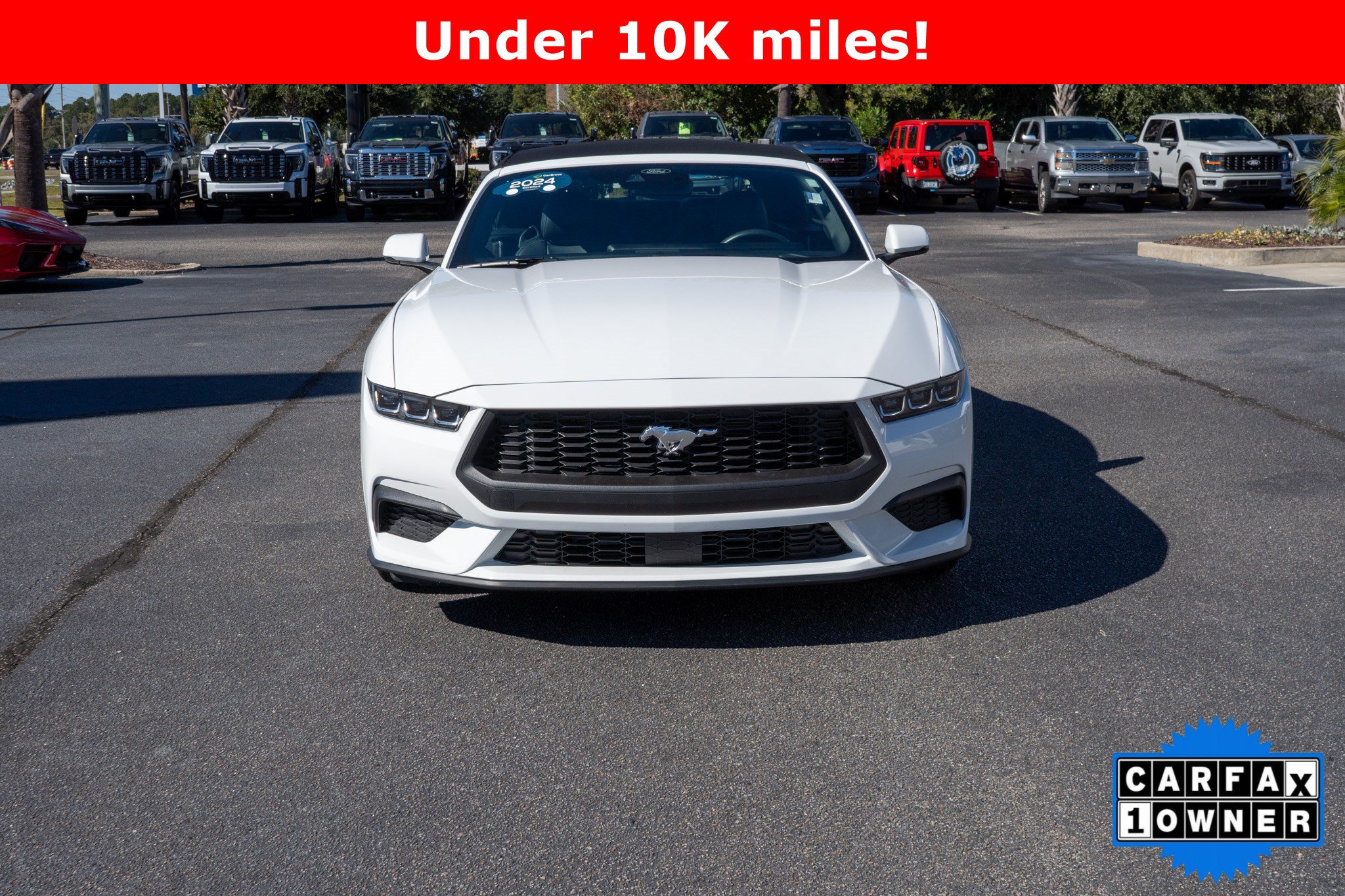 Used 2024 Ford Mustang Premium RWD image 8