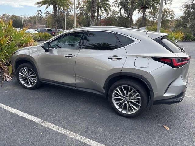 Certified 2025 Lexus NX 350h AWD w/ Premium Package image 4