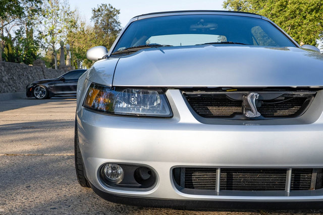 Used 2003 Ford Mustang Cobra image 79