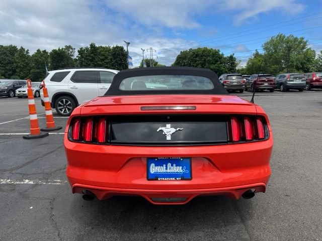 Used 2015 Ford Mustang Convertible w/ Equipment Group 051A RWD image 4