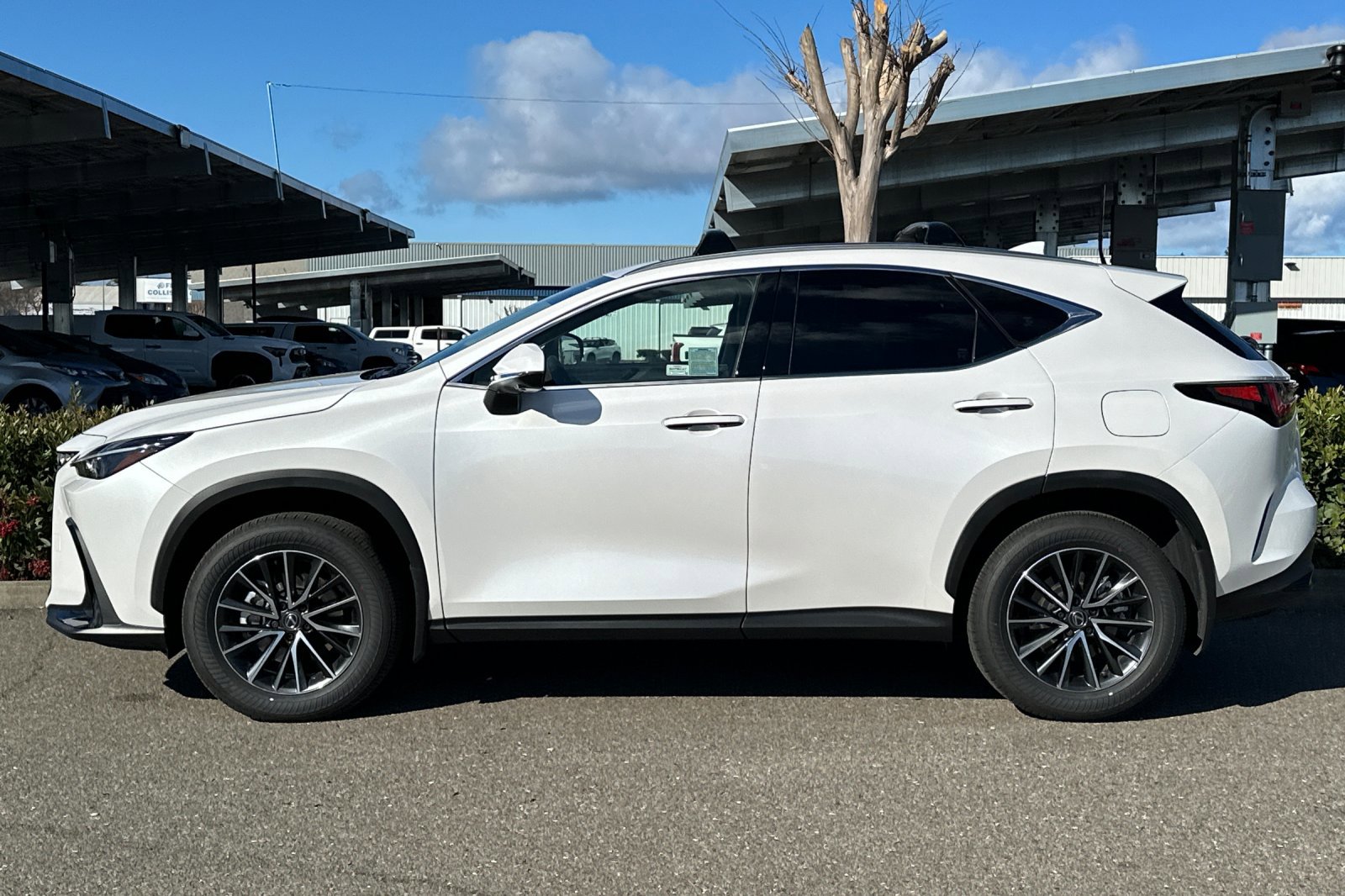 Used 2025 Lexus NX 350h AWD w/ Cold Area Package image 7
