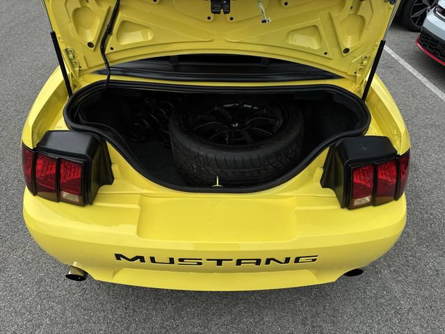 Used 2003 Ford Mustang Mach 1 RWD image 21