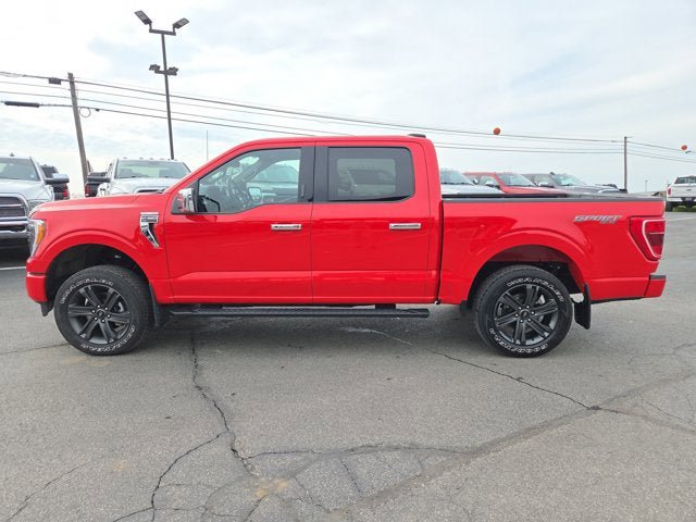 Used 2023 Ford F150 XLT w/ Equipment Group 302A High AWD/4WD image 3