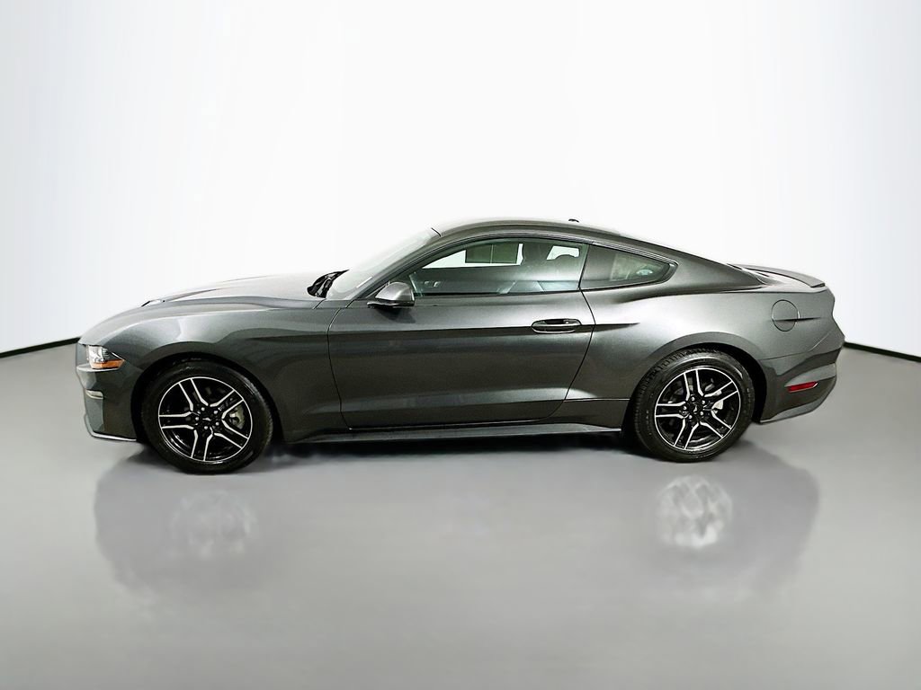 Used 2019 Ford Mustang Premium w/ Equipment Group 201A image 5