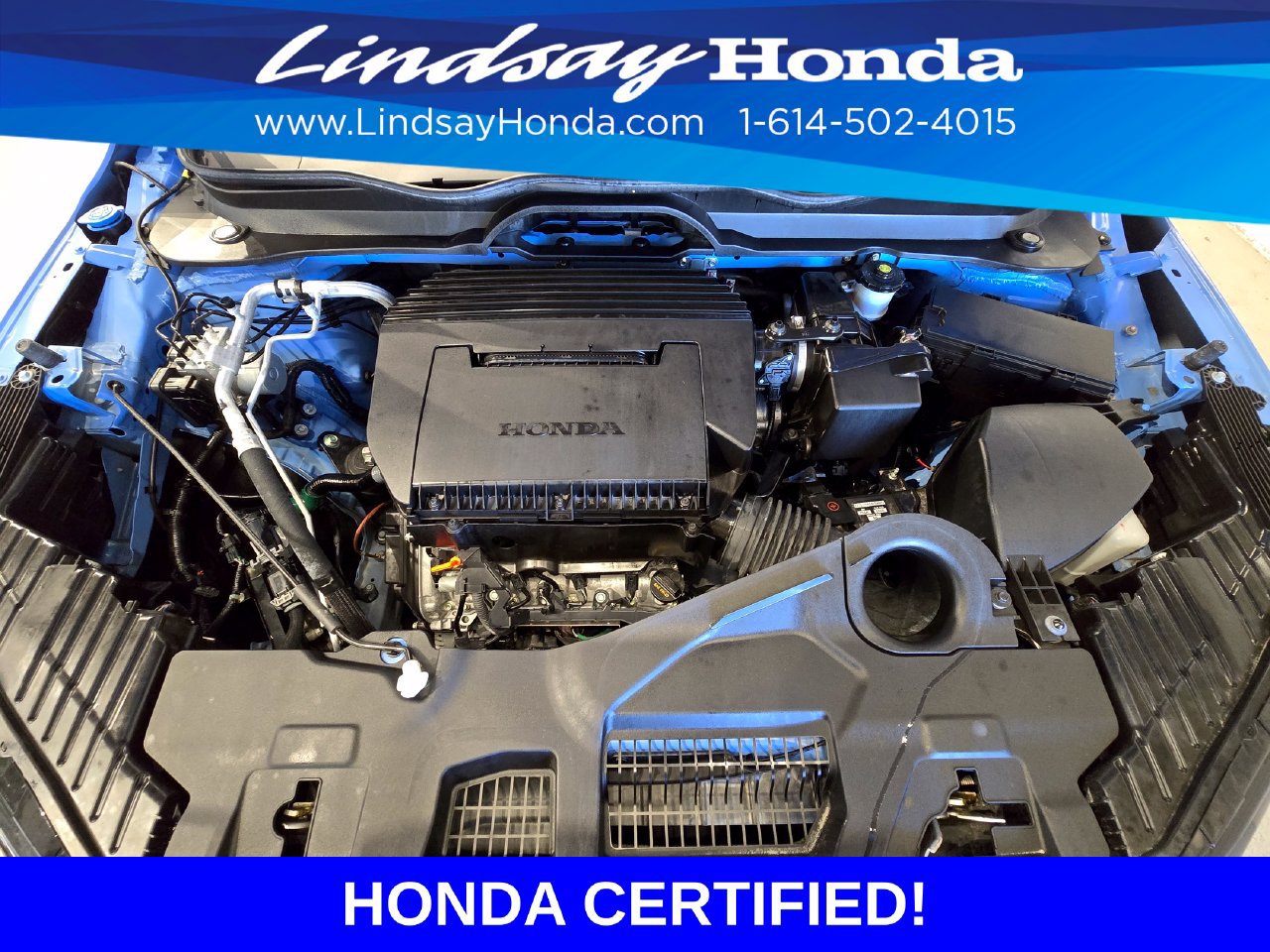 Certified 2025 Honda Pilot TrailSport image 25