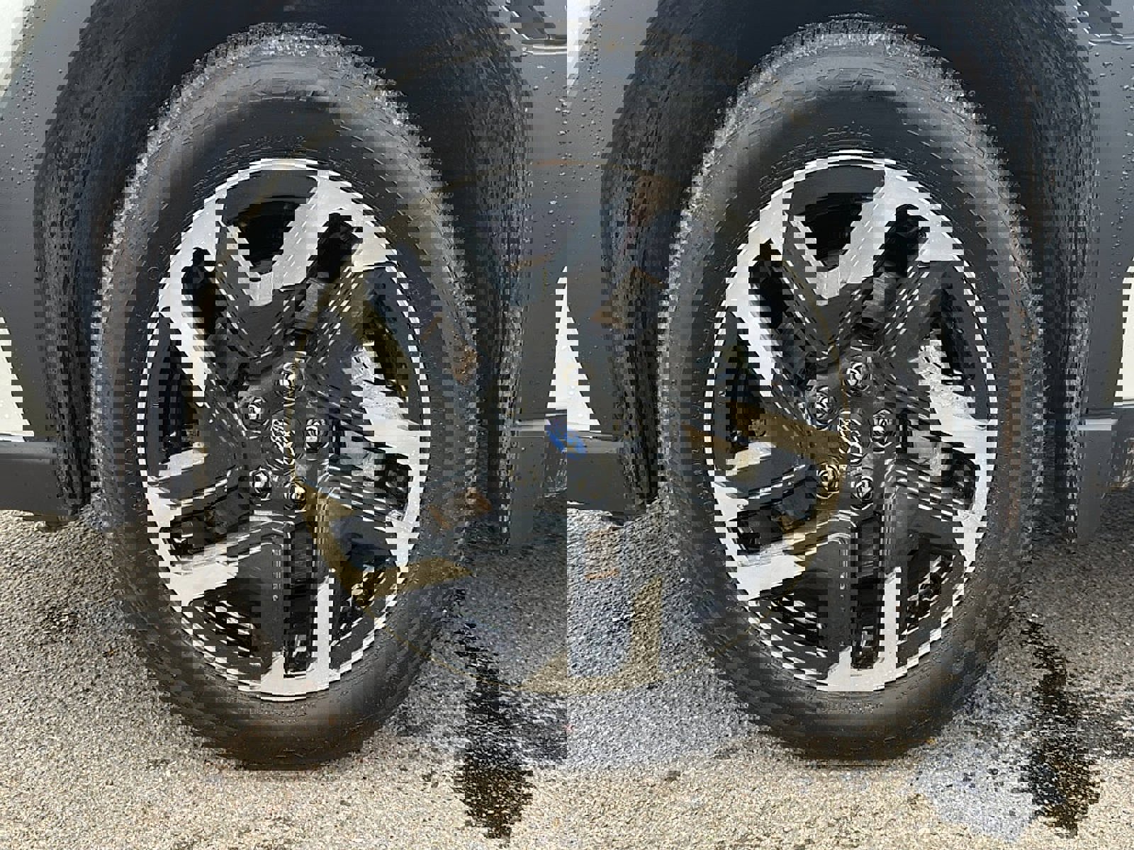 Used 2025 Subaru Forester Limited w/ Protection Package (1PH) image 40