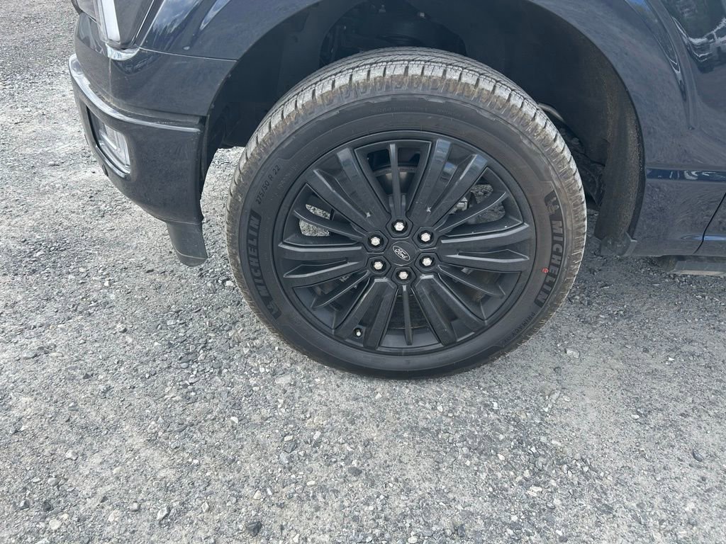 Used 2025 Ford F150 Platinum image 3