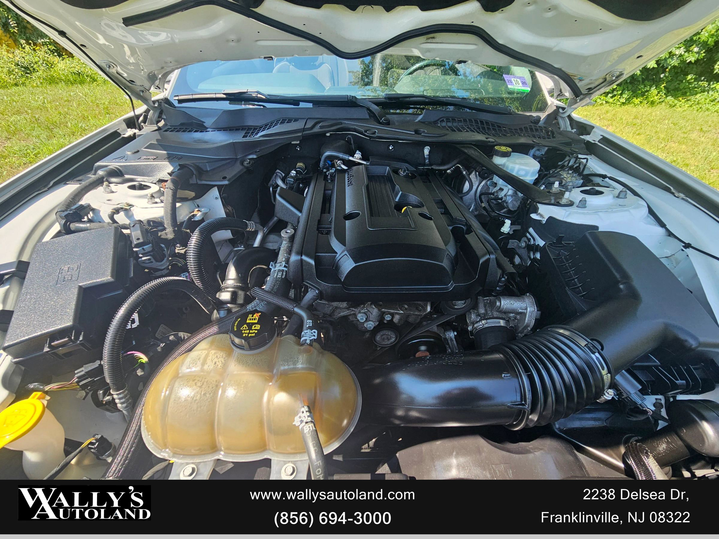 Used 2019 Ford Mustang Convertible image 10