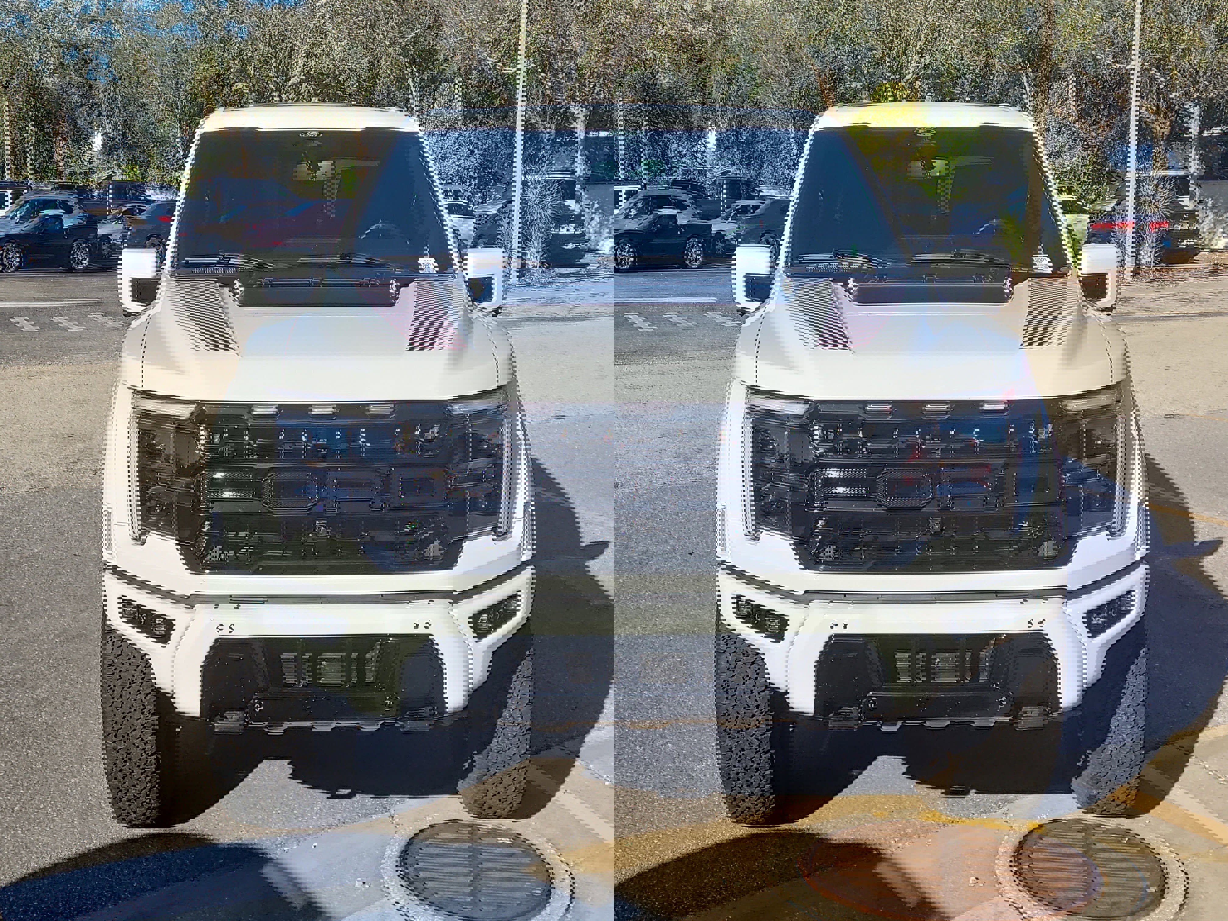 Used 2024 Ford F150 Raptor image 8