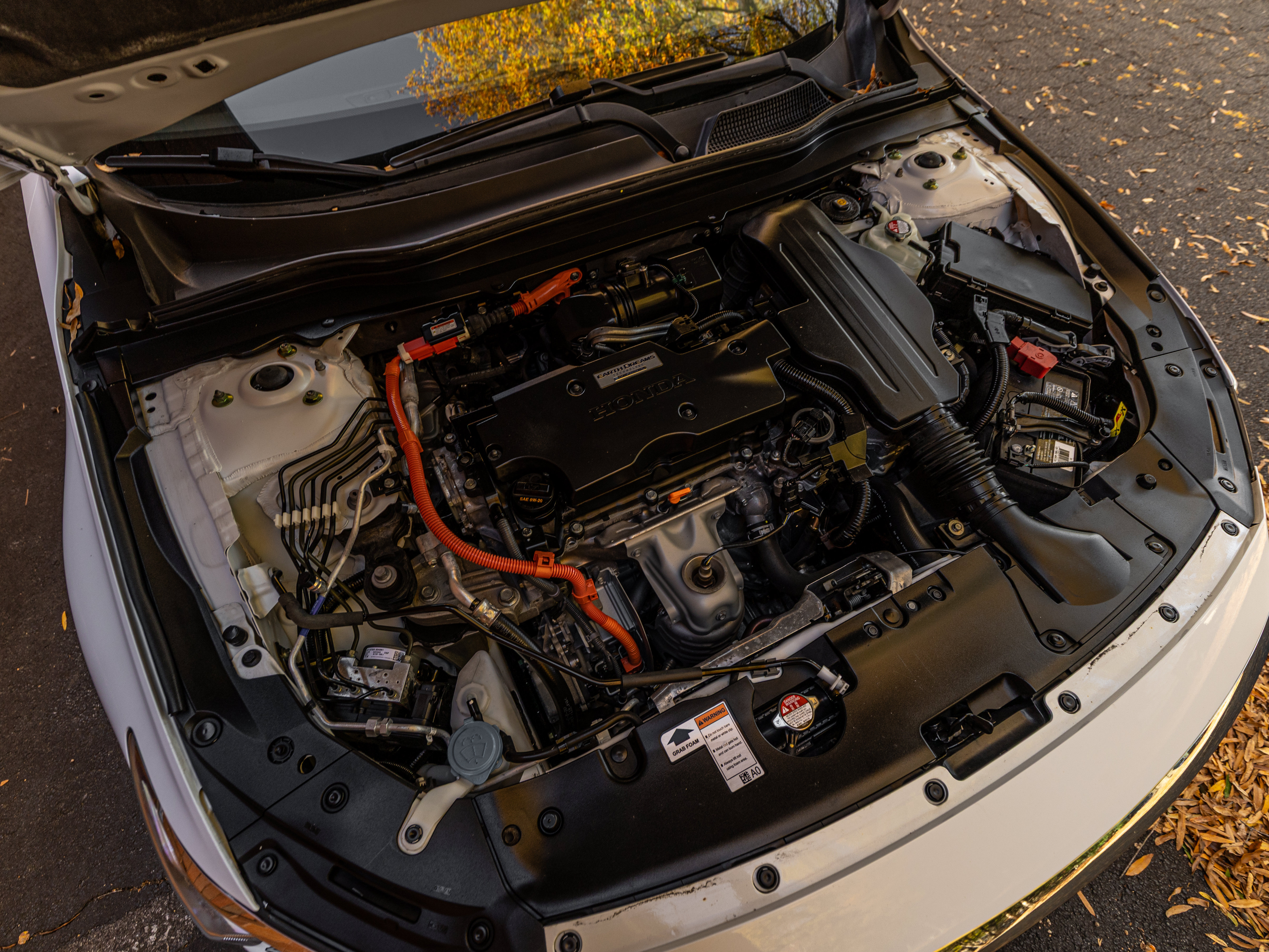 Used 2019 Honda Accord EX-L image 74