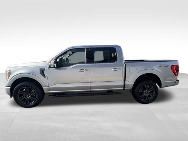 Used 2022 Ford F150 XLT w/ Equipment Group 302A High image 8