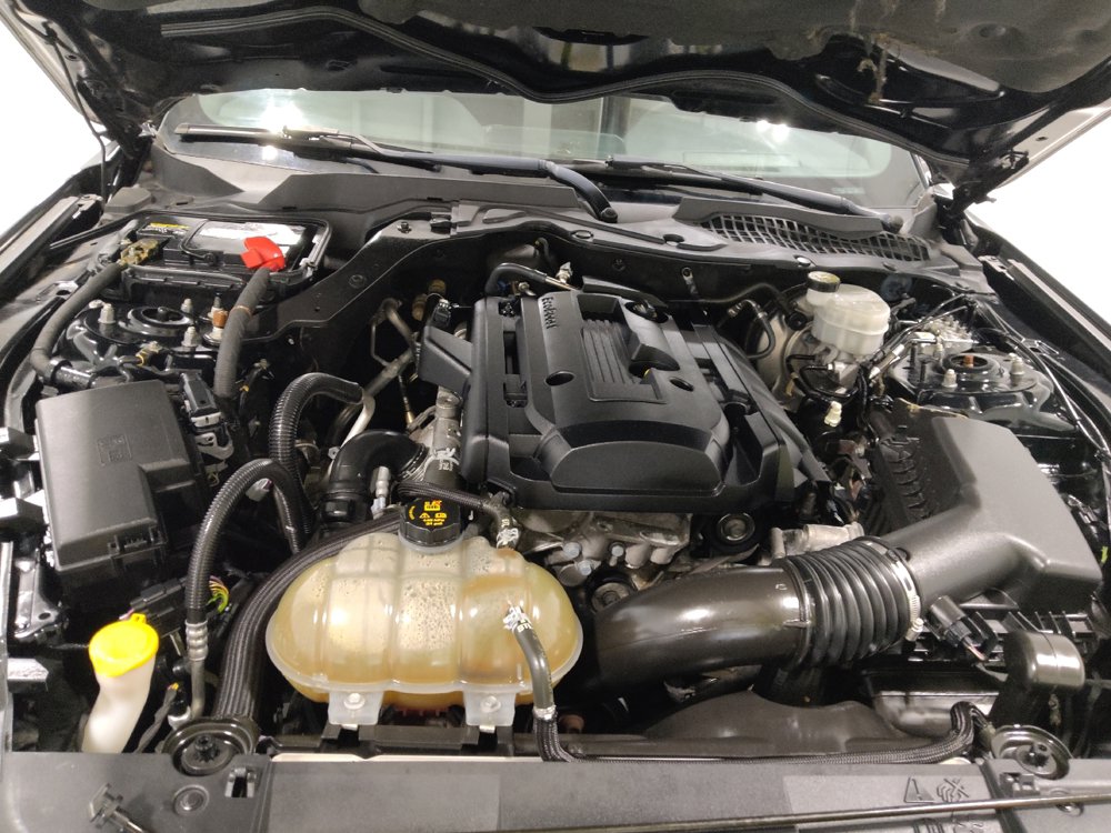 Used 2019 Ford Mustang Coupe RWD image 30