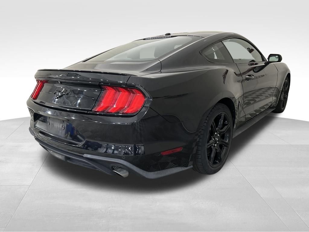Used 2019 Ford Mustang Coupe w/ Equipment Group 101A image 5