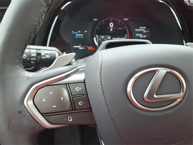Used 2025 Lexus RX 350 Premium Plus image 22