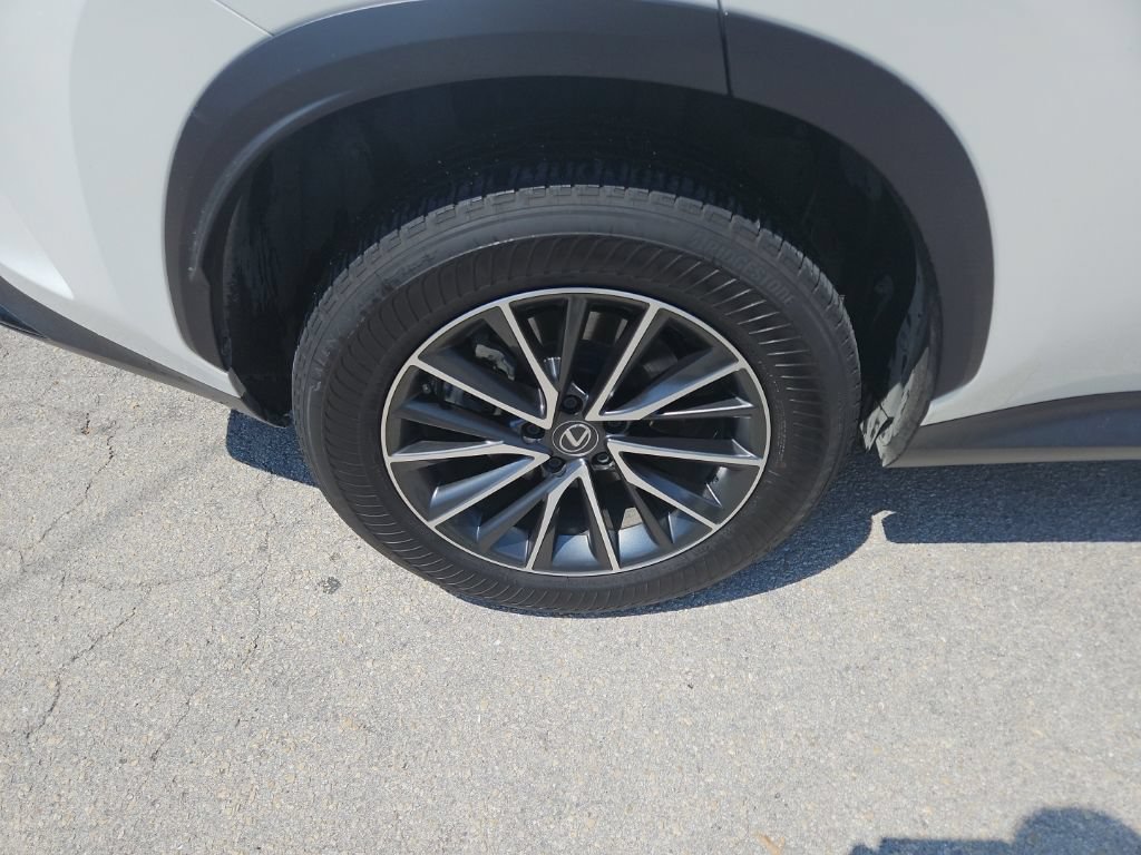Used 2024 Lexus NX 350h AWD w/ Cold Area Package image 7