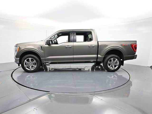 Used 2023 Ford F150 XLT w/ Equipment Group 302A High AWD/4WD image 5