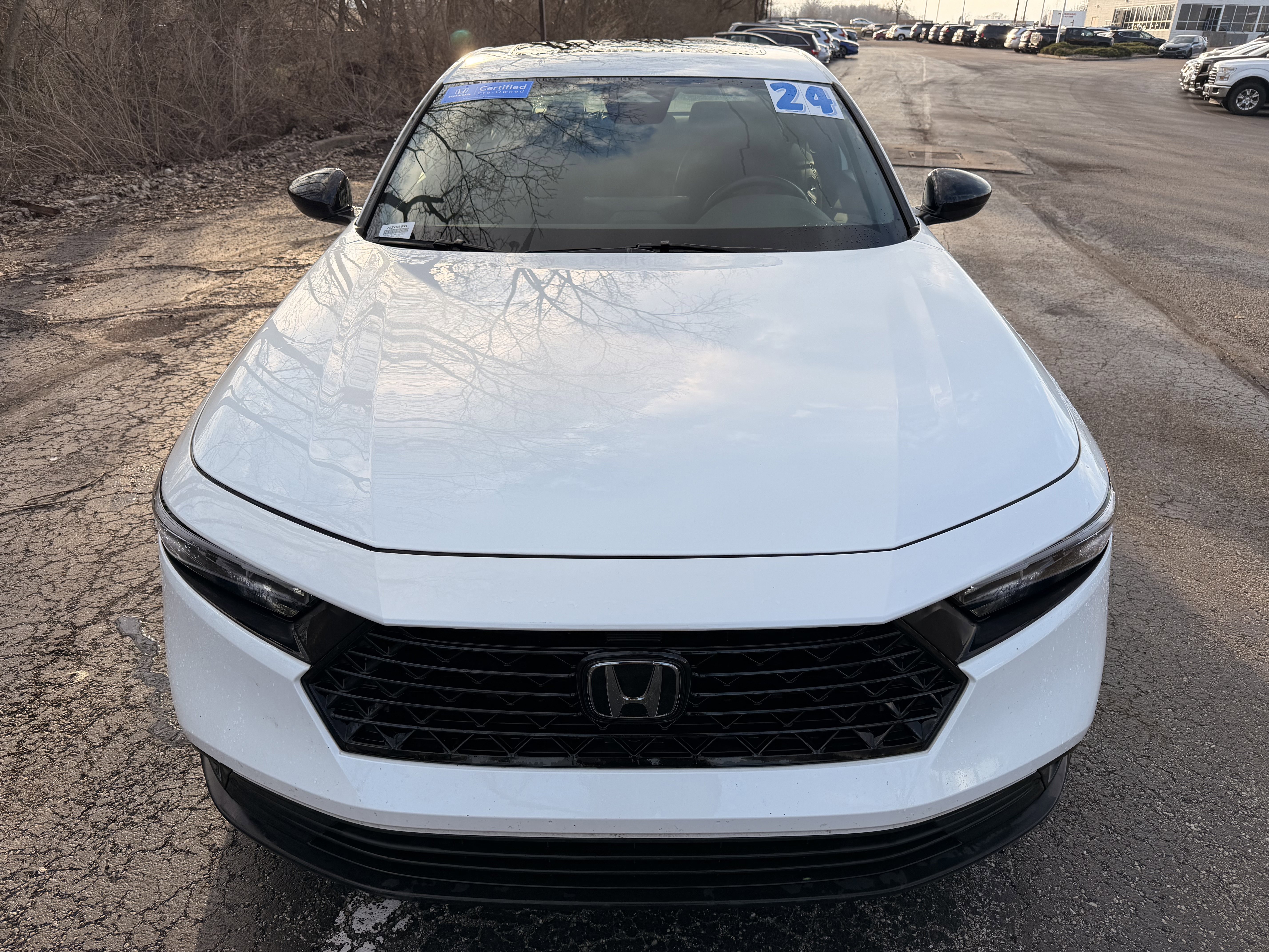 Certified 2024 Honda Accord Sport image 8