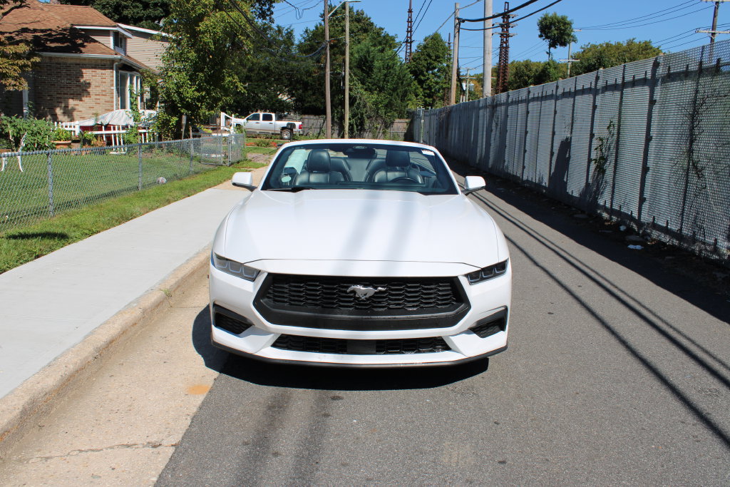 Used 2024 Ford Mustang Premium RWD image 2