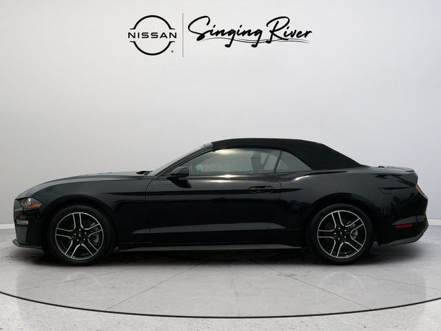 Used 2022 Ford Mustang Premium RWD image 4
