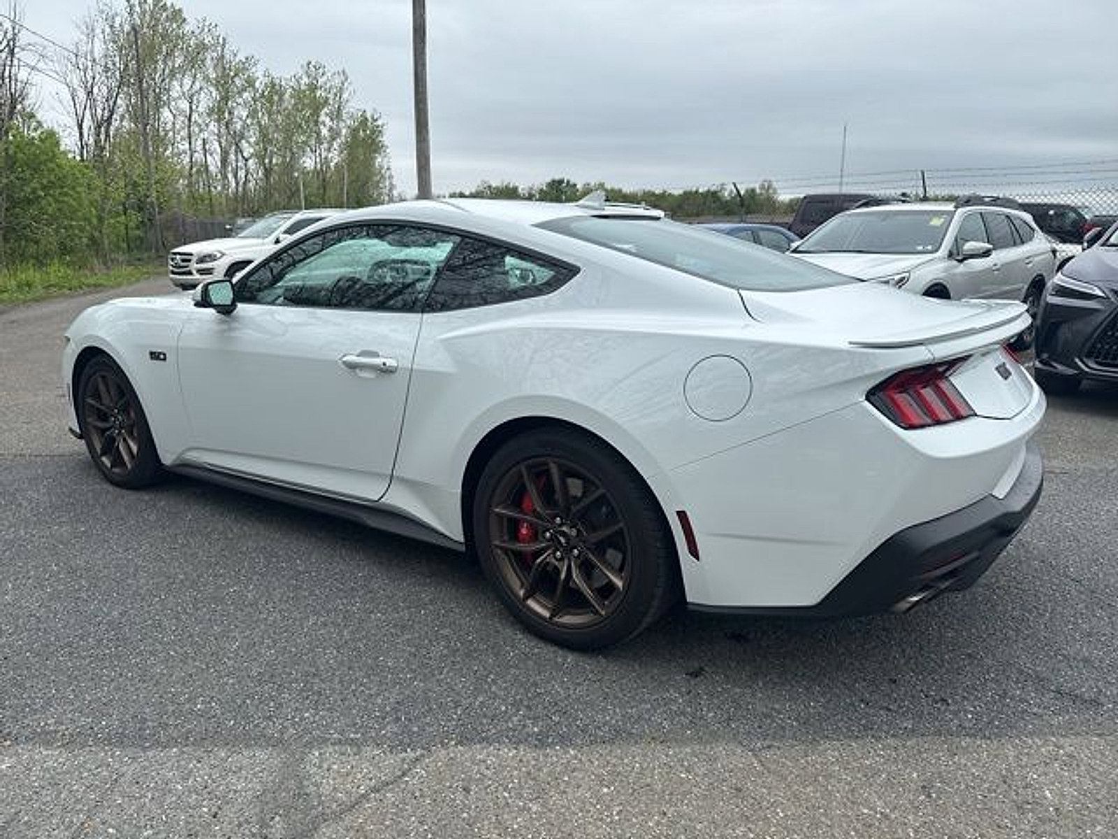 Used 2024 Ford Mustang GT Premium RWD image 2
