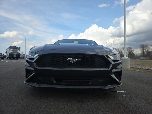Used 2023 Ford Mustang Coupe w/ Equipment Group 101A image 3