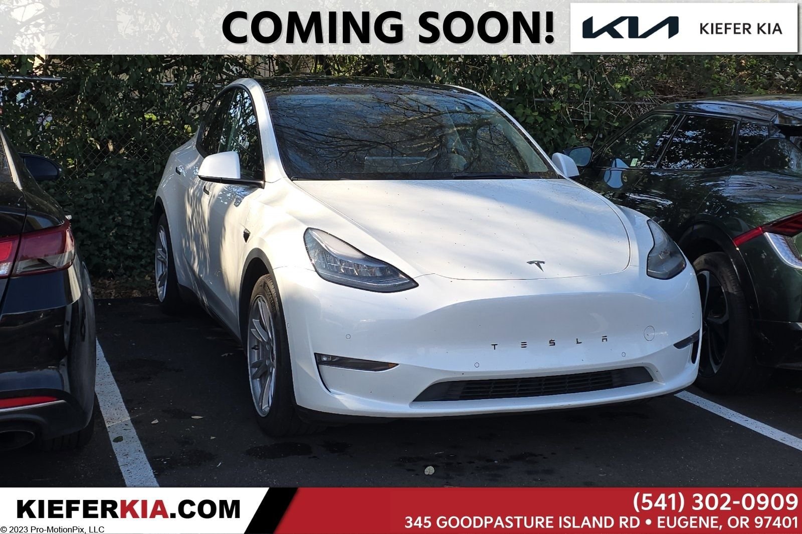 Used 2021 Tesla Model Y Long Range image 1