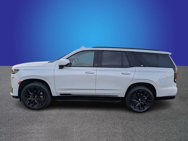 Certified 2024 Cadillac Escalade Sport w/ LPO, ONYX Package image 2