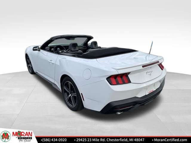 Used 2024 Ford Mustang Premium image 3