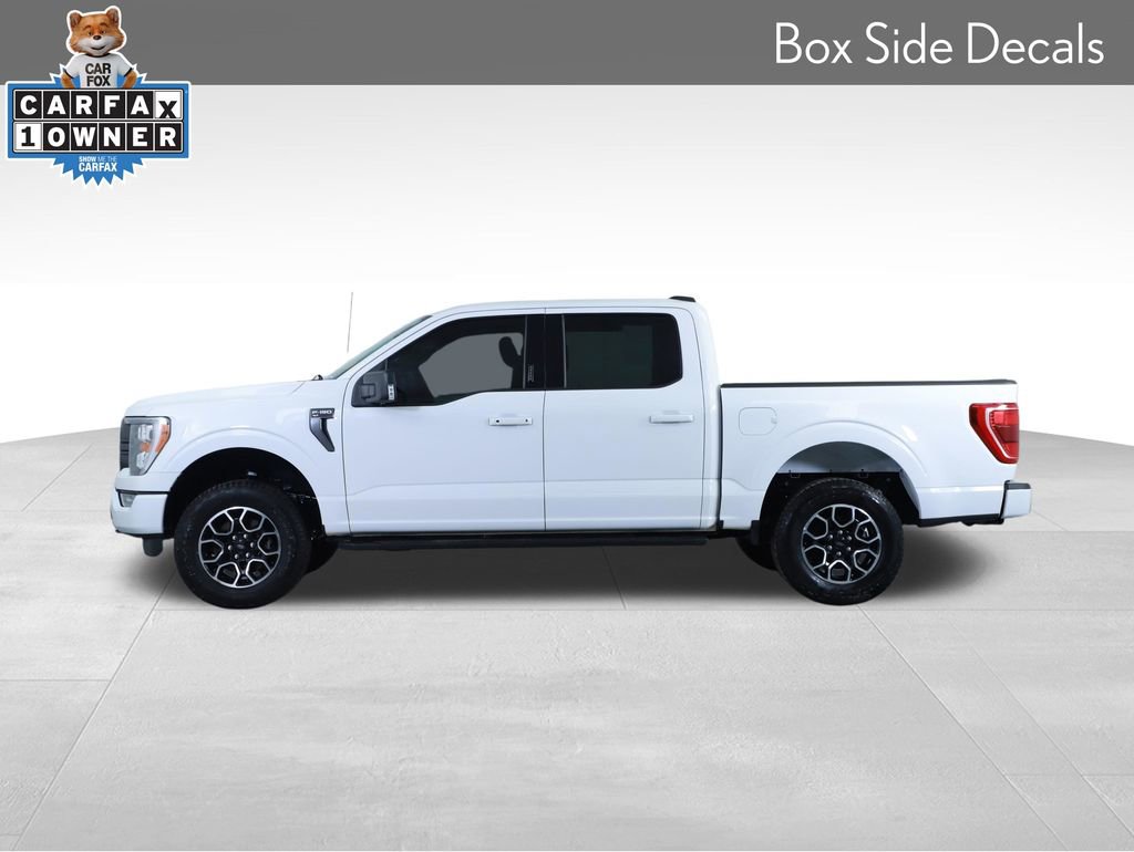 Used 2023 Ford F150 XLT w/ Equipment Group 302A High AWD/4WD image 10