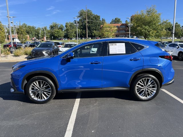 Certified 2025 Lexus NX 350h AWD w/ Cold Area Package image 6