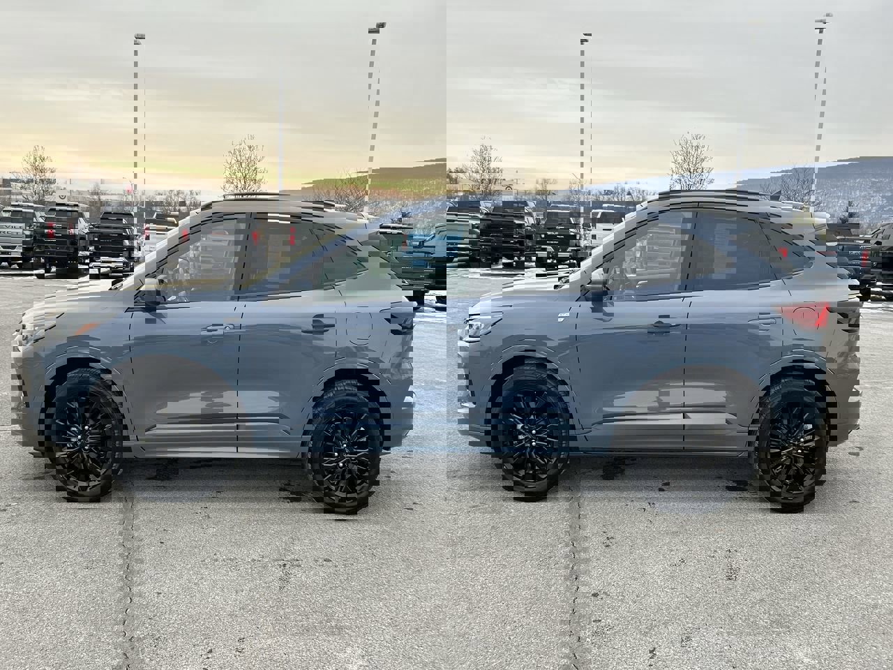 Used 2023 Ford Escape ST-Line Elite image 4