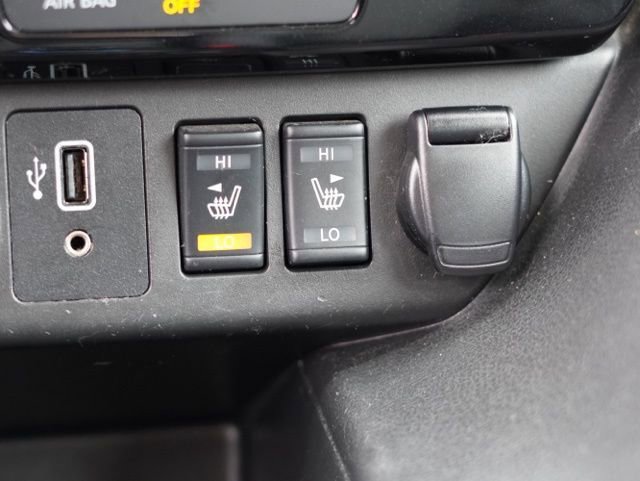 Used 2019 Nissan Leaf SL Plus w/ Protection Package image 30