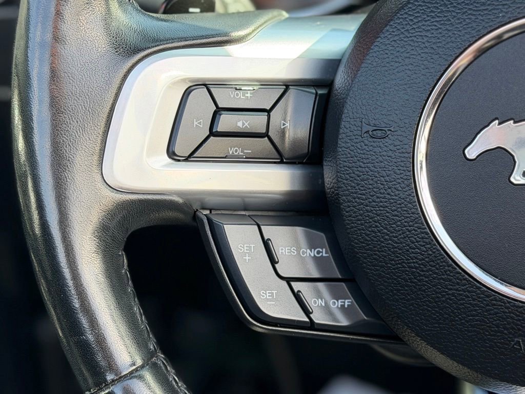 Used 2019 Ford Mustang GT Premium w/ Equipment Group 401A RWD image 13