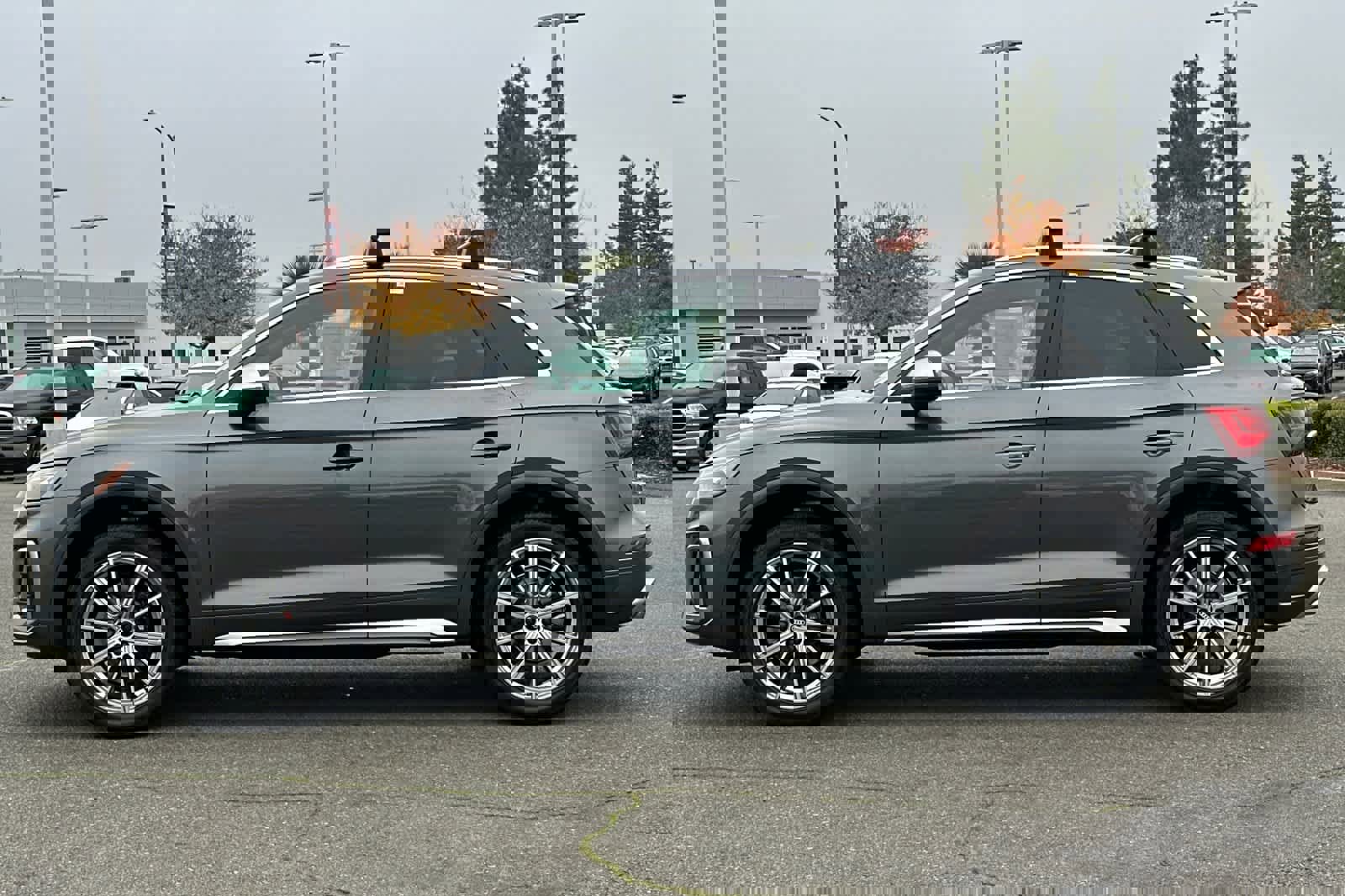 Used 2022 Audi SQ5 Premium Plus image 9