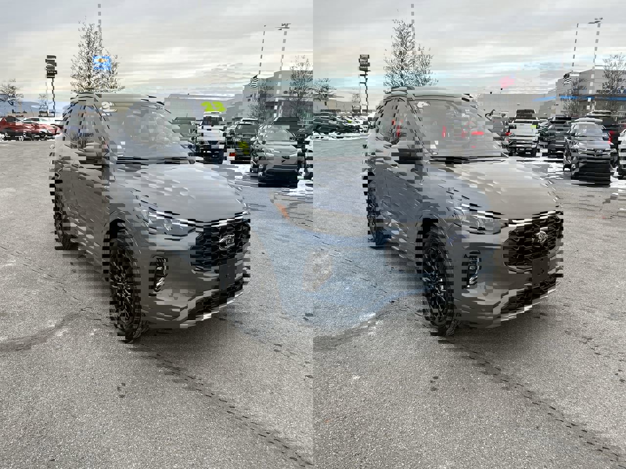 Used 2023 Ford Escape ST-Line Elite