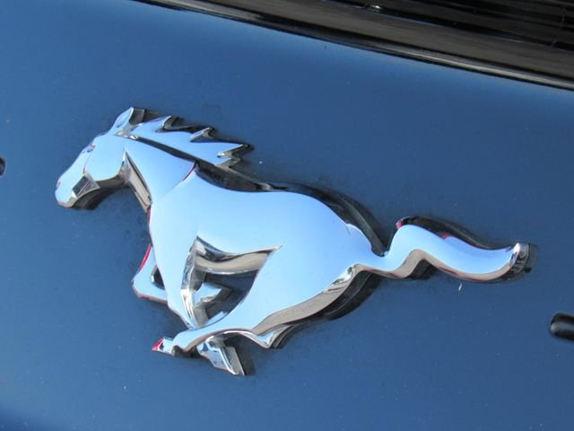 Used 2021 Ford Mustang Premium image 12