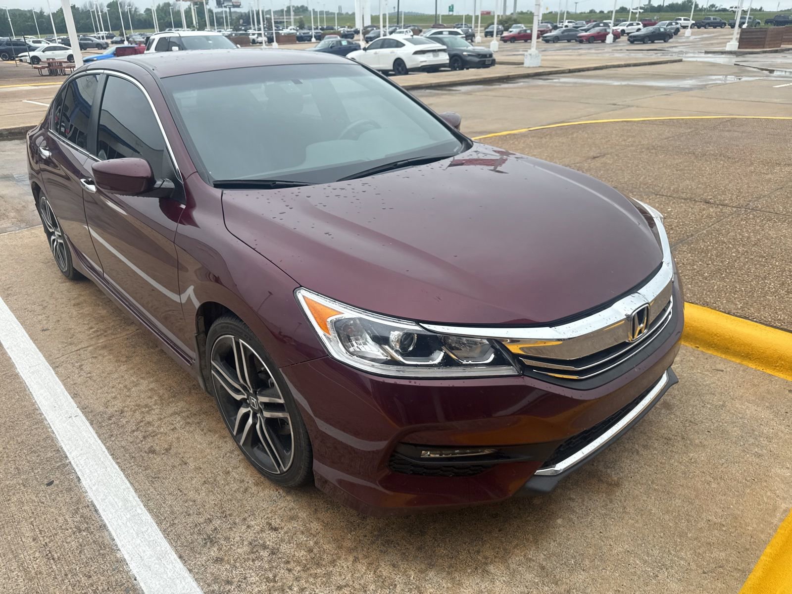 Used 2016 Honda Accord Sport image 7