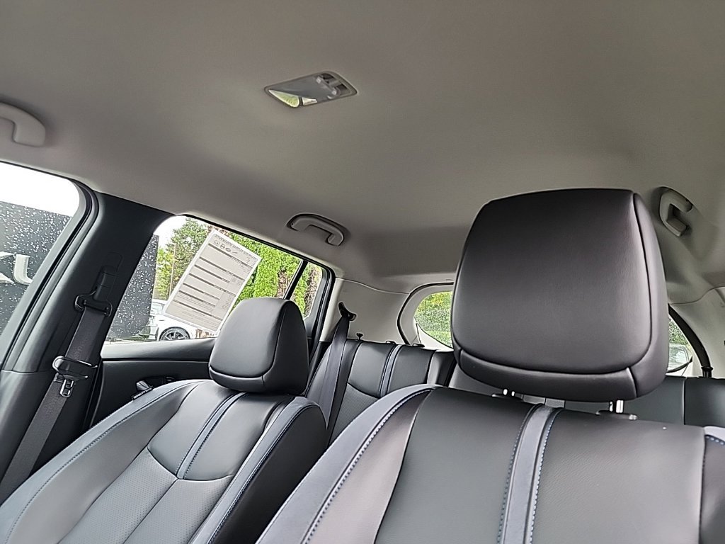 Used 2019 Nissan Leaf SL Plus FWD image 13