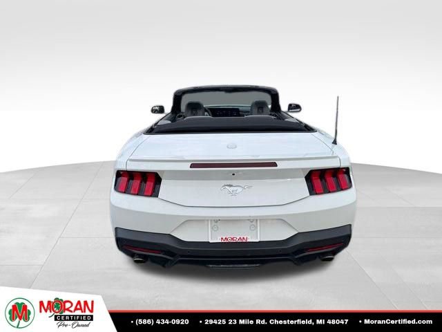 Used 2024 Ford Mustang Premium RWD image 5