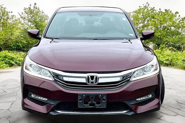 Used 2017 Honda Accord Sport Special Edition image 3