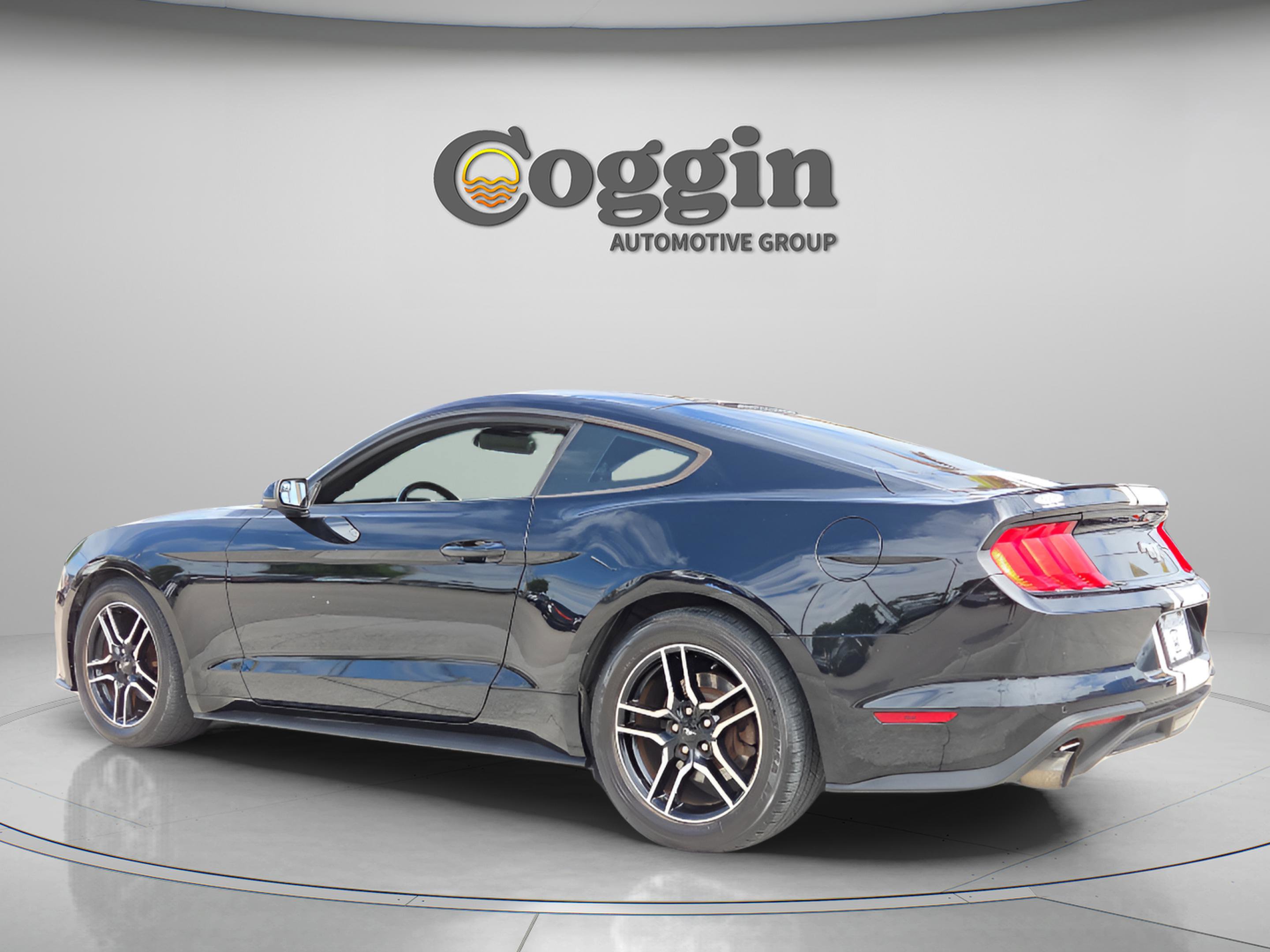Used 2019 Ford Mustang Premium w/ Ford Safe & Smart Package RWD image 3