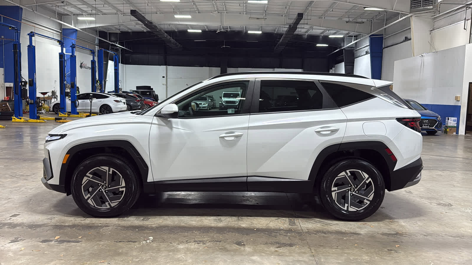 Used 2025 Hyundai Tucson Blue image 6