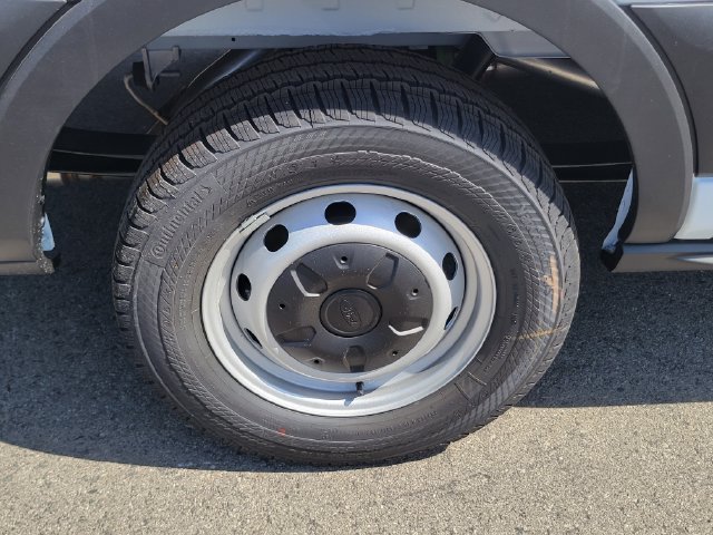 New 2026 Ford Transit 150 Low Roof w/ Load Area Protection Package RWD image 5