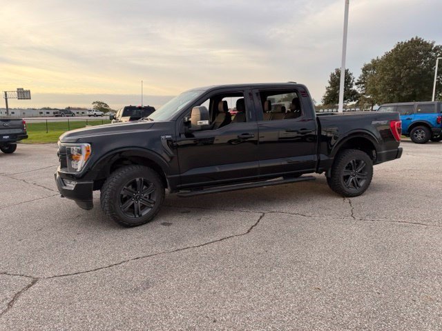 Used 2023 Ford F150 XLT w/ Equipment Group 302A High AWD/4WD image 8