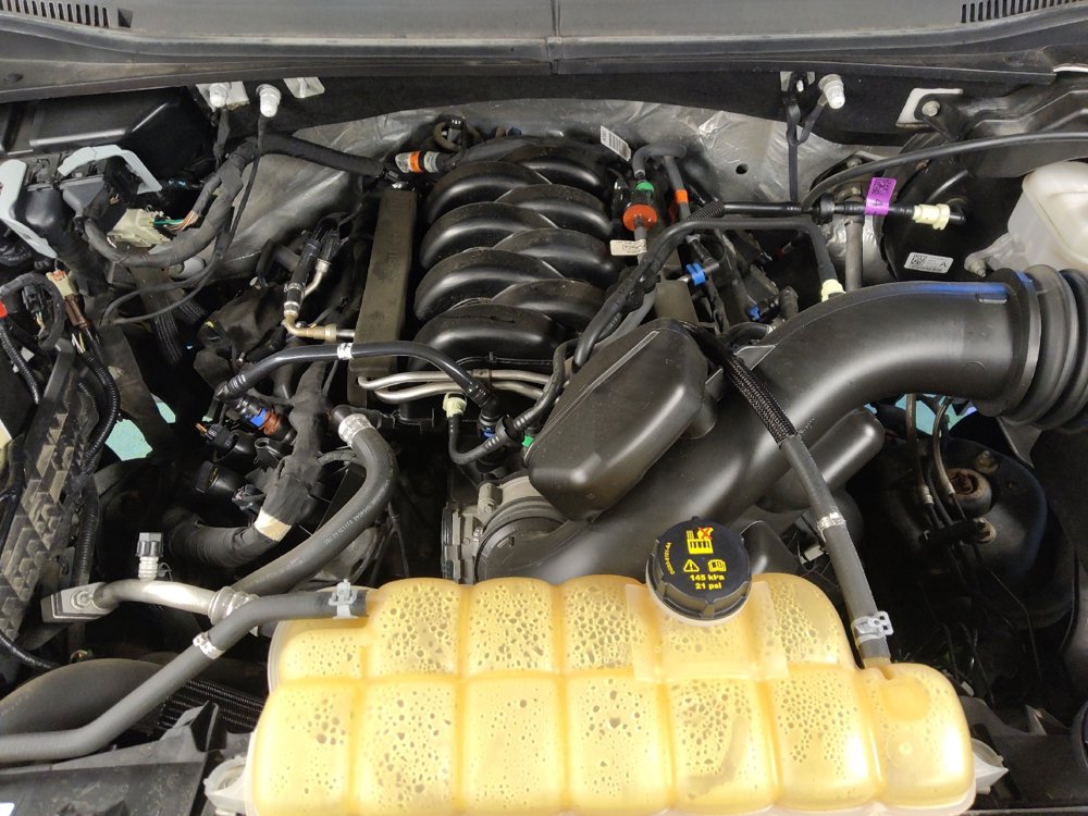 Used 2019 Ford F150 XLT w/ Equipment Group 301A Mid image 30