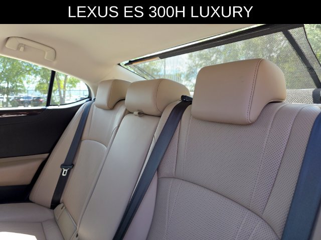 Used 2019 Lexus ES 300h w/ Accessory Package 2 FWD image 16