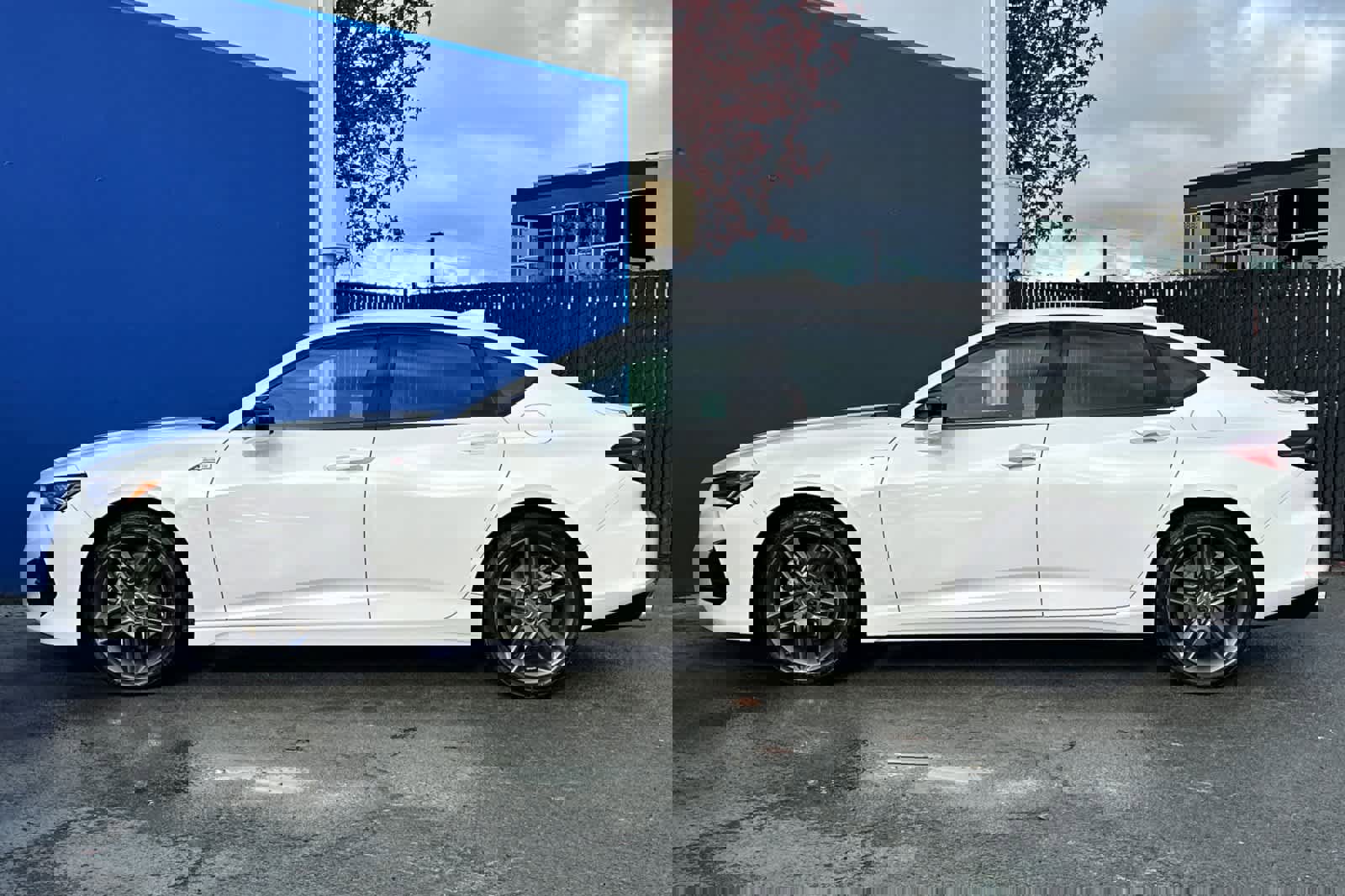 Certified 2025 Acura TLX SH-AWD w/ A-SPEC Pkg image 6